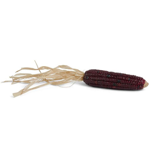 Indian Corn - Burgundy